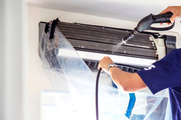 Best Air Duct Mold Removal  in West Columbia, SC