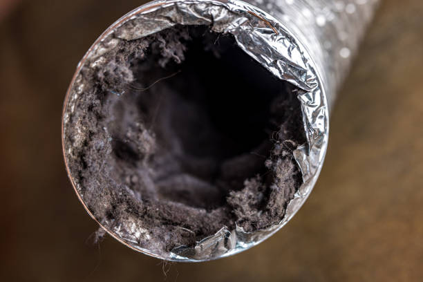 Best Affordable Duct Cleaning Services  in West Columbia, SC